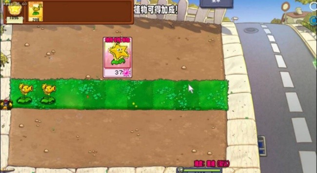 威尼斯VNS12561杨桃版