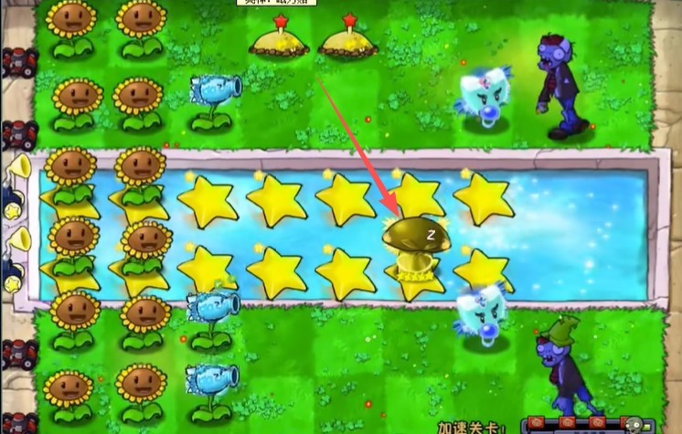 威尼斯VNS12561杨桃版