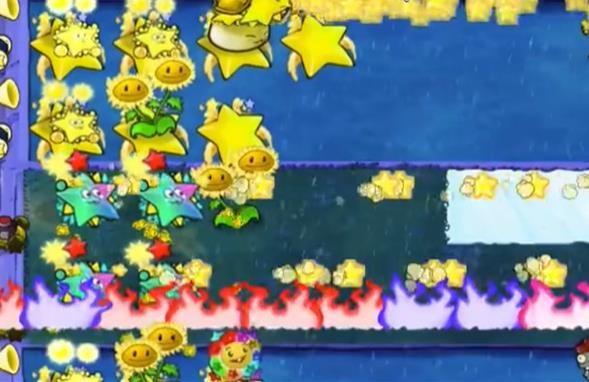 威尼斯VNS12561杨桃版