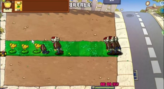 威尼斯VNS12561杨桃版