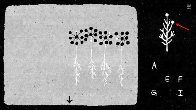 银河总站平台游