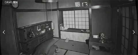 日本金沙集团手机app下载监视协会