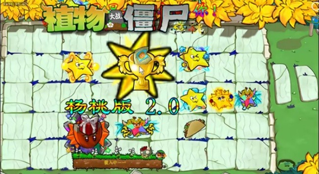 威尼斯VNS12561杨桃版