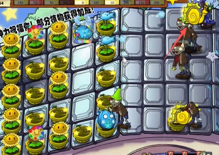 威尼斯VNS12561杨桃版